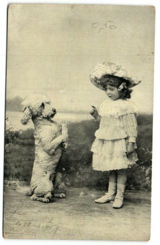 Girl Teaching Poodle Dog Tricks Cute Vintage Photo Postcard