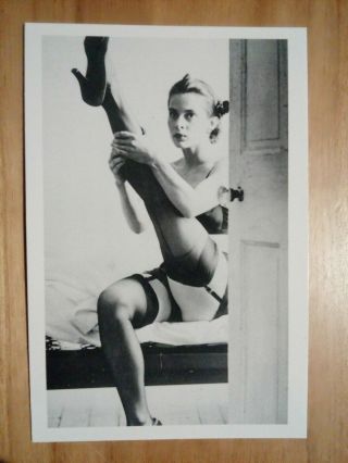 Carte Postale Natassja Kinski Vintage Ancienne Photo Sexy