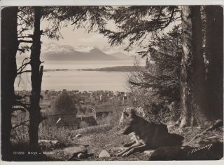 Norway.  Norge.  Molde.  View From Mountain.  Vintage Real Photo Postcard
