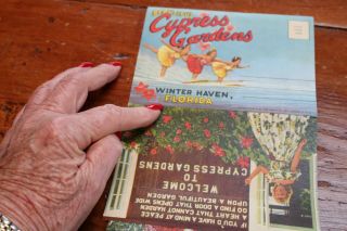 Vintage Post Card Foldout 1953 16 Photos Cypress Gardens Winter Haven Florida