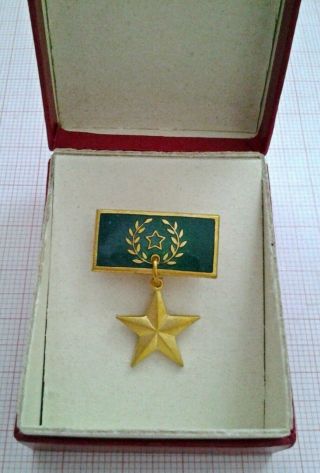 Esperanto Miniature Medal For Merit