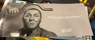 Three Stooges Curly Howard Got Milk? Poster 10”x22” Promo Advertisement