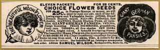 1886 Samuel Wilson Flower Seeds Mechanicsville Pa Flower Faces Pansies Ad