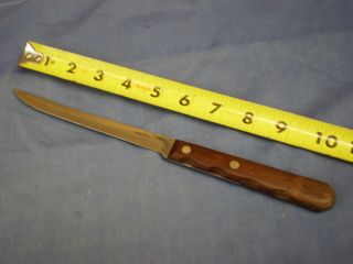 Vintage Case Xx Fillet Boning Knife Cap 204 - 6 " Wood Handle Stainless Utility Usa
