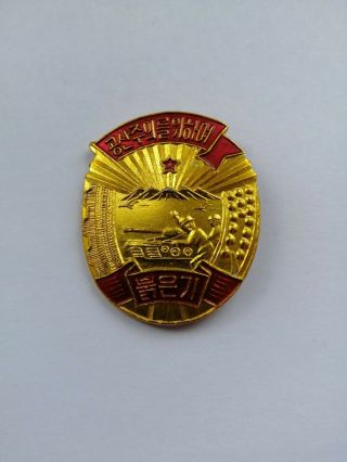North Korea Dprk Military Rare Badge Propaganda Pin