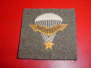 Ww2 French 1st Rcp R.  C.  P.  Parachute Badge France Libre