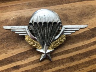 French Airborne Para Military Insignia Wings Badge Drago