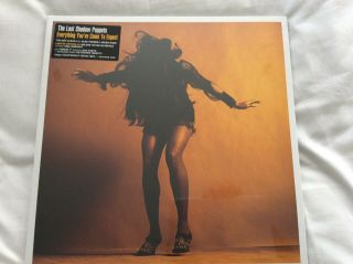 The Last Shadow Puppets Everything You 