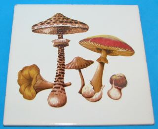Vtg 1970s 6 " Ceramic Tile Trivet Wild Mushrooms Cartoon W/ Hanging Loop Belgium