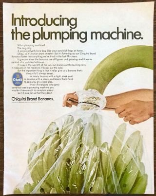 1968 Chiquita Bananas Print Ad Introducing The Plumping Machine