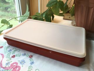 Vtg Tupperware 794 - 6 Deli Meat Bacon Keeper Paprika Red Container 7x11x2