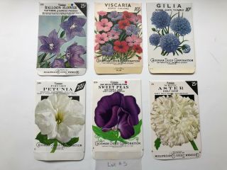 6 Vintage Seed Packets Crosman Seed Corp Rochester Ny,  Stecher - Traung,  Schmidt