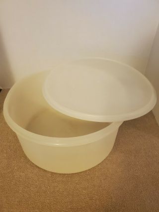 Vintage Tupperware Sheer Carry All Container 32 Cups 256 - 1 224 Round Cake
