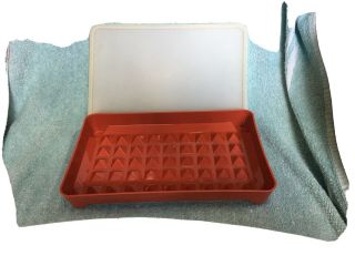 Tupperware Small Red Lunch Meat Hot Dog Cheese Keeper