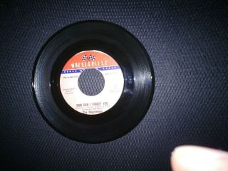 Northern Soul 45 Magictones Me And My Baby/how Can I Forget You Wheelsville 114