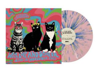We Are Scientists - With Love And Squalor - Tri Colour Vinyl.  Last One