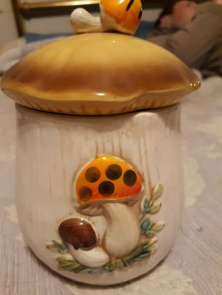 Vintage 1978 Merry Mushrooms Small Canister By Sears Roebuck & Co.