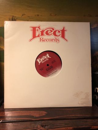 Rare Private Boogie Disco Funk 12” Alexander Do You Dare 1982 Erect Vg,  Electro