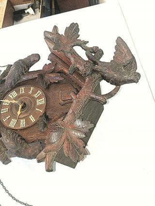 Early 1900 ' s Black Forest Cuckoo Clock with Birds Runs - Keeps Time 3