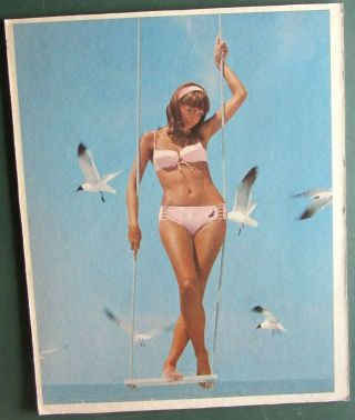Vintage Jantzen Sexy Bikini 2 Sided Press Board Photo Sign 16 X 20 C1960 