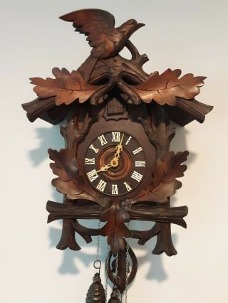 Antique German Black Forest Cuckoo Clock Austria Pre1920 Carved Oak Leaf & Raven