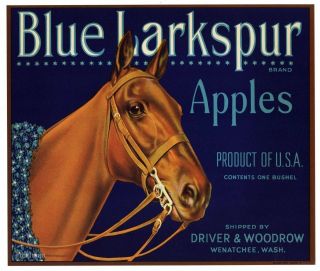 Blue Larkspur Brand Wenatchee,  Race Horse An Apple Fruit Crate Label