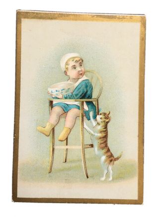 1800’s Victorian Trade Card Baby In High Chair Cat Cereal Bowl 3 X 4” B24