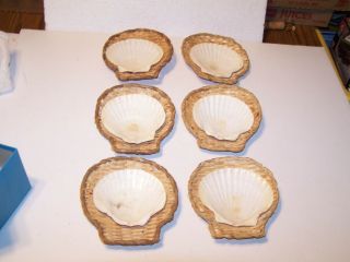 Vtg Set Of 6 Wicker Rattan And Scallop Shell Serving Dishes In A Birks Box