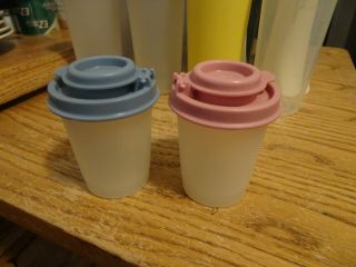 Tupperware 1503 Large Clear 3 1/2 " Salt & Pepper Shakers Pink/blue Caps