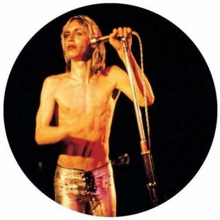 Iggy & The Stooges: More Power - A Gorgeous Picture Disc (lp Vinyl Pre - Order. )