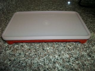 Tupperware Hot Dog Bacon Lunch Meat Keeper 1292 Paprika -