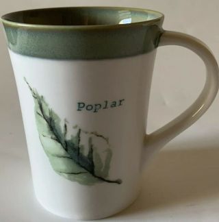2007 Starbucks Coffee 13 Fl.  Oz Ceramic Mug Poplar Tree Leaf Green Ivory