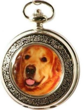 Golden Retriever Collectable Pocket Watch Gift Boxed