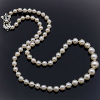 Mikimoto Vintage Sterling Silver Sea Pearl Beaded Strand Necklace,  Box 14.  0 Gr
