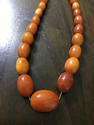Antique Vintage Egg Yolk Butterscotch Baltic Amber Beaded Necklace Gold Chain 3