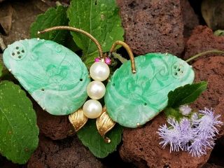 Antique Jadeite Jade Pearl Ruby Butterfly 14k Gold Brooch - Jade Jewelry - Estate