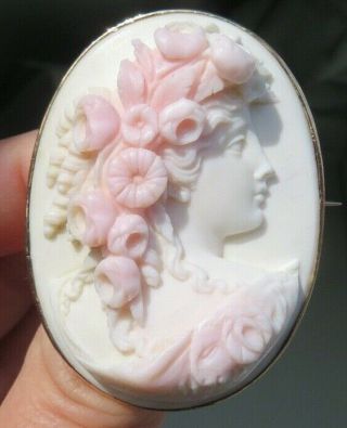 Antique Victorian 1870 Pink Conch Shell Cameo Gold Frame Of Flora
