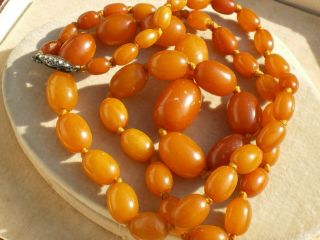 Antique Butterscotch Egg Yolk Natural Amber Graduated Bead Necklace 32.  4 Grms