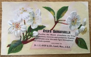 Victorian Trade Card,  Ayer’s Sarsaparilla,  Dr.  J.  C.  Ayer & Co. ,  White Blossoms
