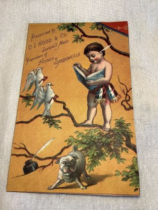 Victorian Trade Card Calendar Hoods Sarsaparilla Doves Dog Boy 1882 - 84
