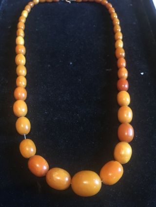 Antique Butterscotch Egg yolk Natural Amber Bead necklace 52 Grams 2