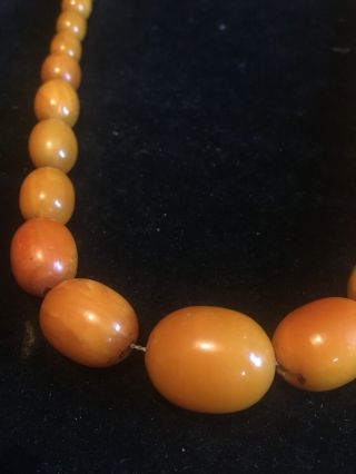 Antique Butterscotch Egg yolk Natural Amber Bead necklace 52 Grams 3