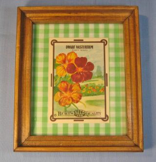 Antique Seed Packet Nasturtium - Early 1900 