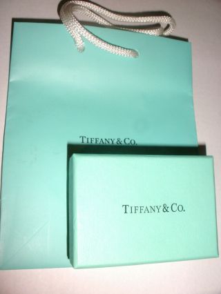 Authentic Tiffany Co Spain Elsa Peretti 18k Yellow Gold 16 " Chain Bag