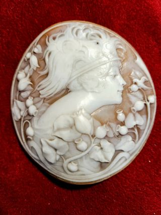 The Finest Art Nouveau Shell Cameo Ever,  Mucha Quality