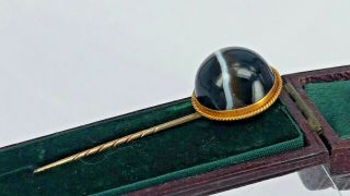 Georgian Yellow Metal Bold Bulls Eye Banded Agate Stick Pin In Its Box