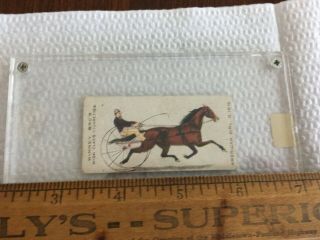 Victorian Trade Card,  Harness Horse Racing " American Girl " 2:16 1/2 "