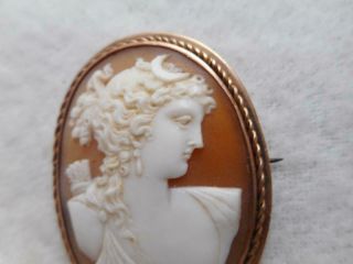 Late Victorian carved shell Diana the Huntress cameo & 14k yellow gold frame pin 2
