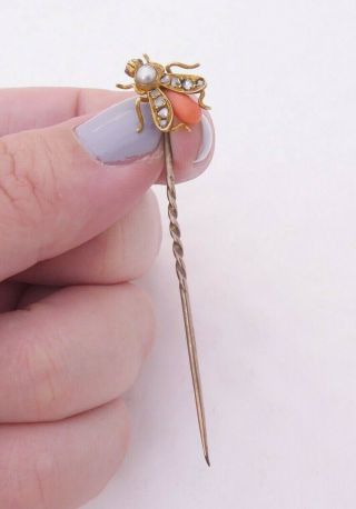 18ct Gold Rose Cut Diamond Coral Seed Pearl Ruby Eyed Bug Stick Pin,  Victorian