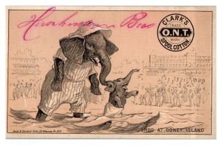 Jumbo Elephant Swimming At Coney Island Hirschmann Bros.  Victorian Trade Card